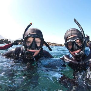 Seal Snorkeling | Cape Town | Premium | Special Rates